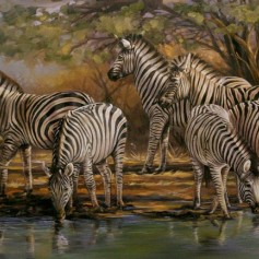 a.Zebras 1 (800 x 500mm)